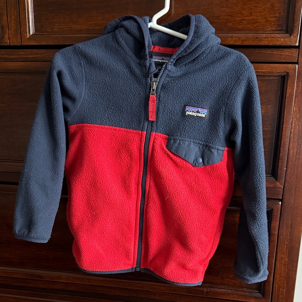 Patagonia Kids' Two-Tone Fleece Hoodie